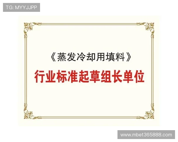 速发国际365，整合资源实现国际物流快速通达