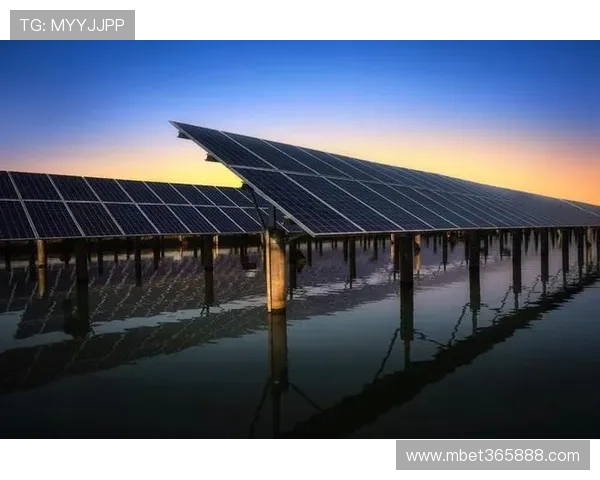 Unibet在全球市场的扩展策略与未来发展前景分析